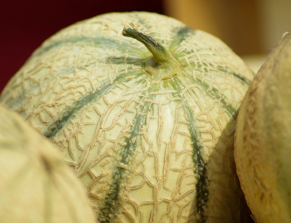 fresh melons in the farmers market in the south of france